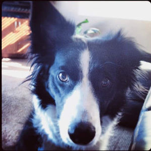 Meet your Posher, Robbie